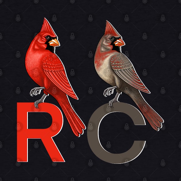 Red Cardinal birds cute cardinals by Artardishop